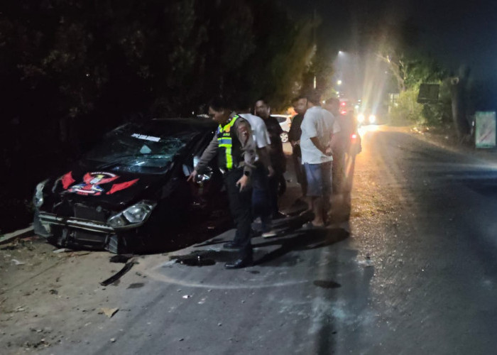 Oleng di Jalan Menurun, Minibus Tabrak Pohon hingga Terguling di Batang