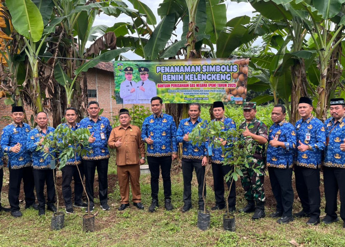 Jadikan Bumi Kartini Sentra Hortikultura, PGN Obral Bibit Tanaman Buah ke Petani Jepara