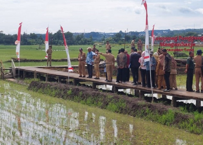 Lomba Habitat Tingkat Jateng, Mbak Ita Optimis Kota Semarang Raih yang Terbaik 