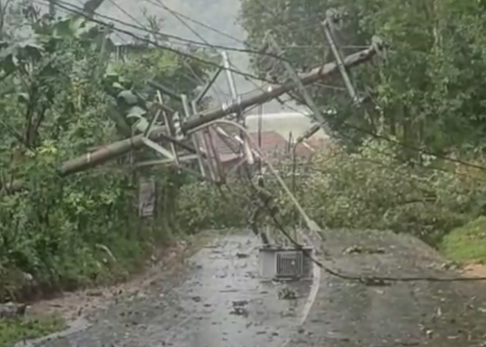 Hujan Disertai Angin Kencang Robohkan Tiang Listrik, Jalan Penghubung Ungaran Timur-Mranggen Putus