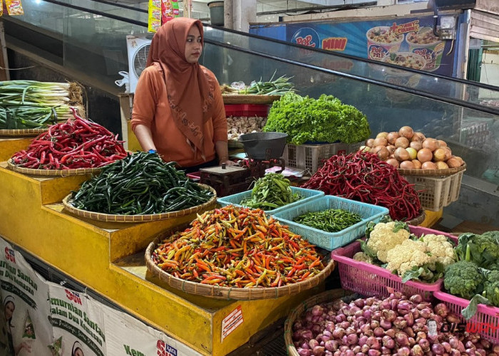 Harga Cabai Rawit di Kebumen Turun, Cabai Keriting Justru Tembus Rp70 Ribu