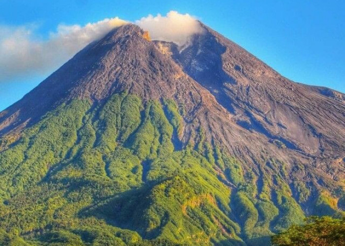 Ungkap Gunung Terindah di Indonesia, Apakah Gunung Rinjani Termasuk?