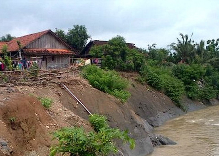 Tebing Kritis Sungai Pemali Ancam Rumah Warga