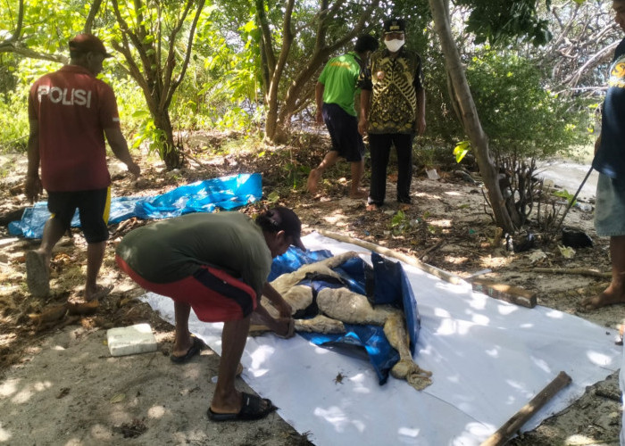 Mayat Pria Tanpa Kepala Diduga Korban Pembunuhan Gegerkan Warga Pulau Karimunjawa 