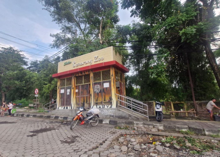 Halte Trans Semarang di Depan Semarang Zoo Lama Mati, Haris Sebut Butuh Kajian 