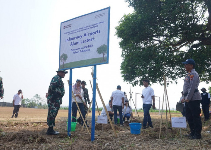 500 Pohon Tabebuya Menghijaukan Polaman Mijen , Dorong Ruang Terbuka Hijau Semarang