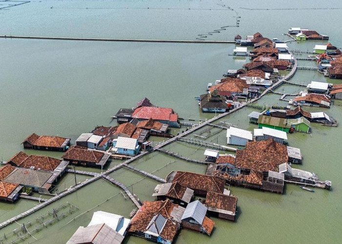 Abrasi 279 Meter per Tahun, AHY Besok Turun ke Timbulsloko Demak