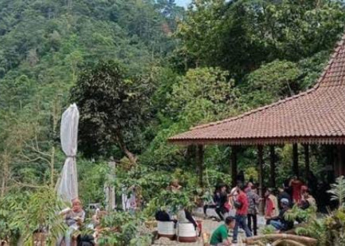 Ini Dia 5 Tempat Wisata yang Ada di Desa Rahtawu Kudus 