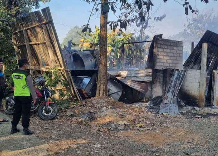 Kandang Ayam di Padureso Ludes Terbakar, Kerugian Capai Rp750 Juta Diduga Akibat Kebocoran Gasolek