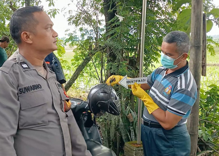 Jebakan Tikus Berlistrik Kembali Menelan Nyawa Petani