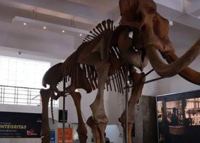 Museum Geologi Bandung: Ini Dia Wisata Sejarah yang Harus Kita Ketahui