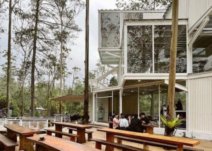 5 Kafe Hits di Ciwidey, Bandung, Nomor 2 Memiliki Vibes Pegunungan yang Instagramable