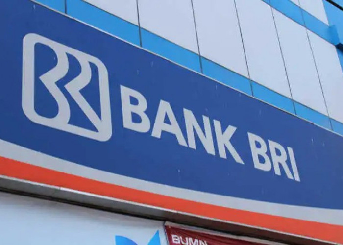 Syarat Mudah KUR Bank BRI, Dapatkan Bantuan Modal Usaha dengan Subsidi Bunga dari Pemerintah