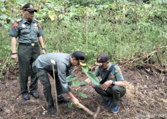 Kolaborasi Menanam Bersama di Gunung Slamet