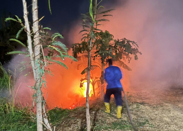 Kebakaran Alang-alang Dini Hari, Rumah Warga Demangaran Tegal Nyaris Dilalap Si Jago Merah