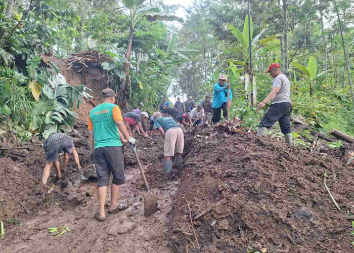 Cuaca Ekstrem Wonosobo Picu Longsor di 3 Kecamatan, Sebabkan Korban Jiwa dan Luka