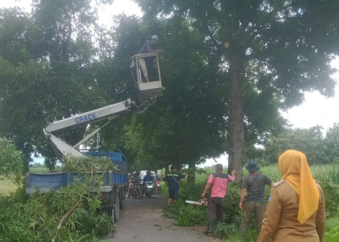 DLH Kabupaten Tegal Maksimalkan Anggaran Rutin Operasional Taman