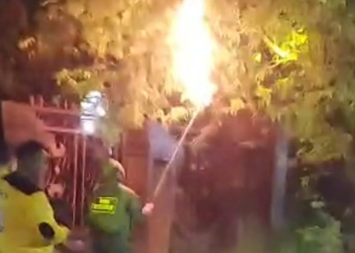 Operasi Senyap di Malam Jumat, Polisi dan BSN Rescue Kudus Basmi Sarang Tawon Penebar Maut