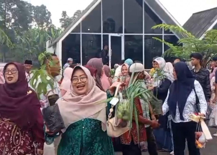 Nikah Tanggal Cantik 6-6-2026 di Kaki Gunung Slamet, Tamu Pulang Bawa Sayur dan Bonus Sengatan Lebah