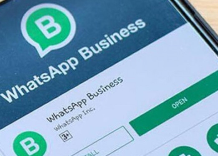 Panduan Lengkap Mengelola WhatsApp Business untuk Komunikasi Bisnis 