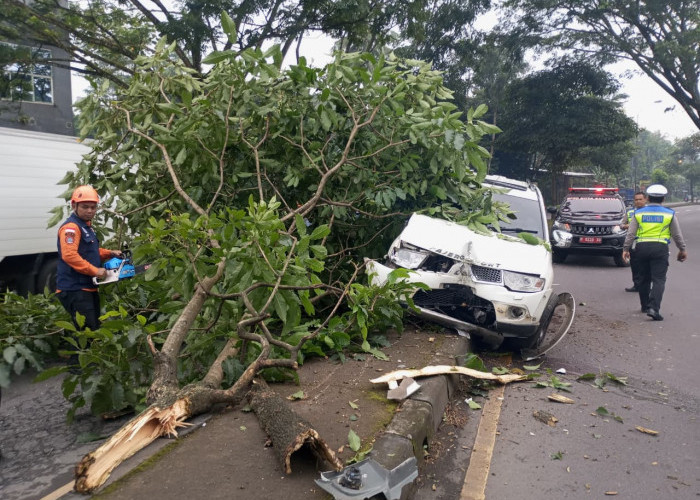 Pajero Sport Putih Oleng Tabrak Pohon di JLS Salatiga 