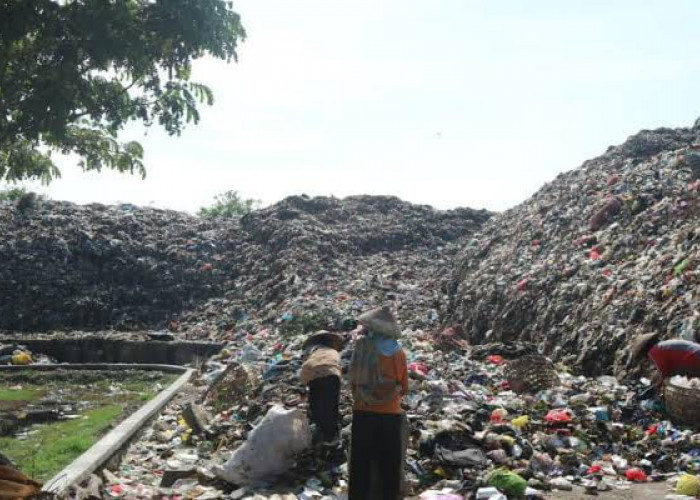 Volume Sampah di TPA Sukoharjo Pati Naik Jadi 210 Ton per Hari, DLH Cari Solusi dengan Investor