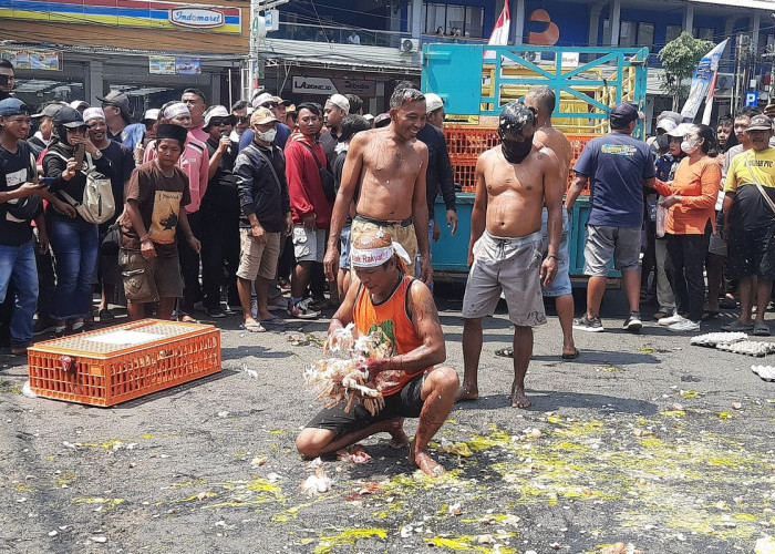Peternak Bumi Mina Tani Mengamuk, Lempar Telur ke Kantor Bupati dan Bawa 1 Ton Ayam
