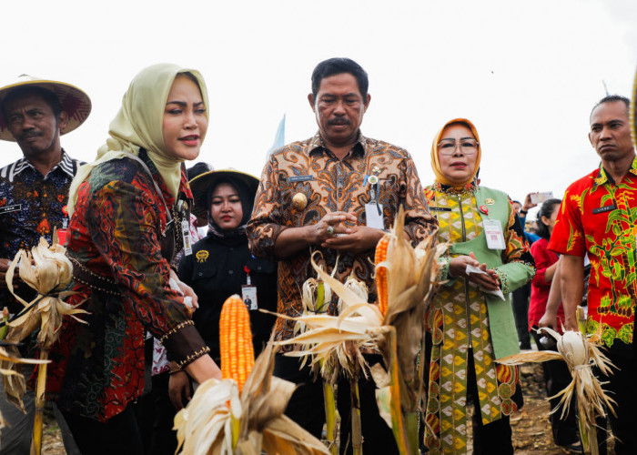 Panen Raya Jagung di Grobogan, Pj Gubernur Jateng Dorong Swasembada Pangan