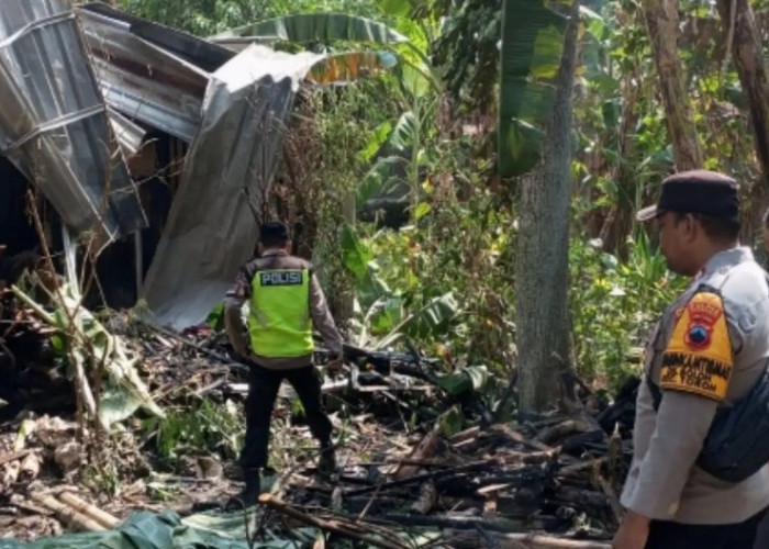 Kandang Sapi di Toroh Ludes Terbakar, Kerugian Capai Rp 40 Juta hingga Dua Ekor Luka-luka