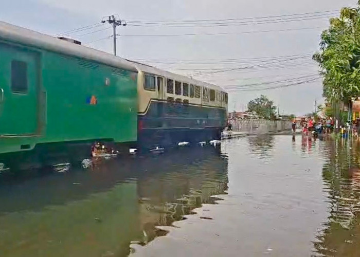Genangan Air Tutup Jalur KA Pekalongan–Sragi, Sejumlah Kereta Dialihkan dan Dibatalkan