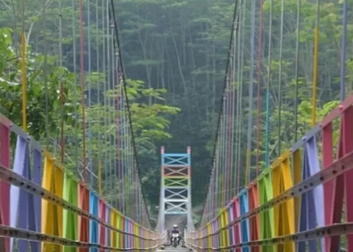 Pesona Maut Jembatan Gantung Danawarih: Wisata Gratis untuk Semua Kalangan 