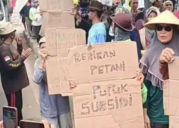 Petani Perhutanan Pati Bergejolak, Dipusingkan Kelangkaan Pupuk Subsidi