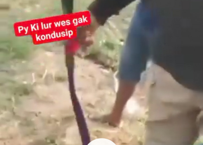 Viral Video Remaja Bawa Sajam Diamankan Warga di Grobogan, Ini Kata Kapolsek Gubug