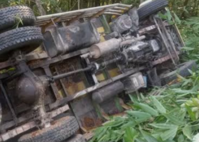 Truk Pengangkut Kuda di Terguling, Sopir Asal Klaten Tewas