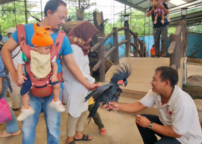 Pengunjung Objek Wisata Semarang Zoo Harapkan Perbaikan dan Penambahan Fasilitas