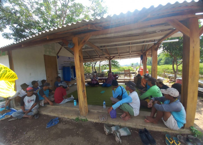 Petani di Desa Jembayat Kabupaten Tegal Dilatih Manfaatkan Mikroba 