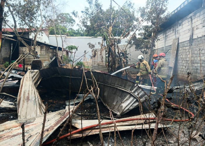 9 Kambing Mati Terjebak Api, Kandang 100 Meter Persegi di Patemon Semarang Ludes