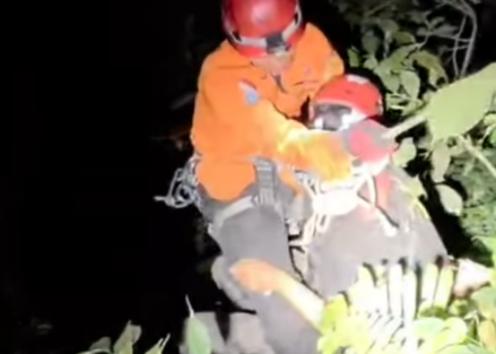 Pecinta Reptil Jatuh Ke Jurang Curug Lawe Benowo Ungaran Sedalam 40 Meter