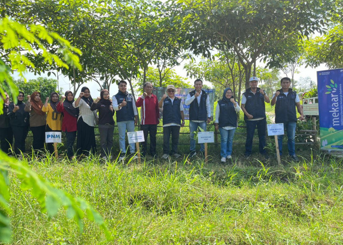 PNM Perluas Makna Pemberdayaan di Masyarakat Akar Rumput, dari Pakaian Buku hingga 29.000 Pohon 