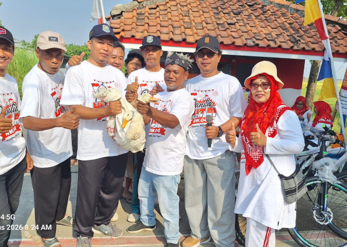 Puncak HUT ke-81 Republik Indonesia, Ratusan Warga Margadana Tegal Berebut Bebek Hidup 