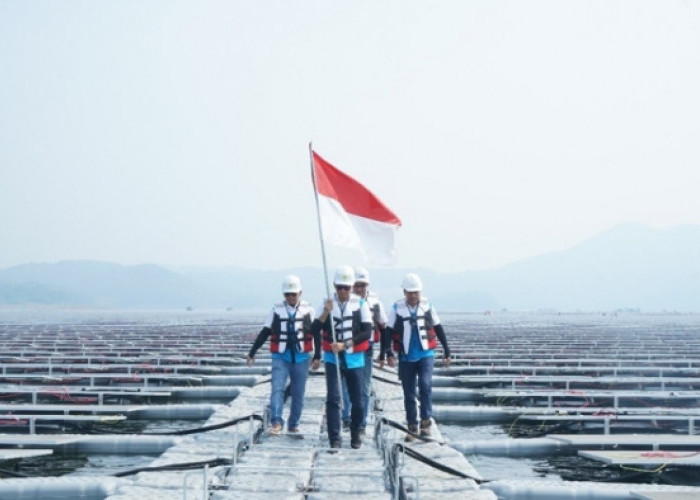 Dukung Pembangunan Berkelanjutan, Green Financing BRI Terus Tumbuh Capai Rp89,9 Triliun