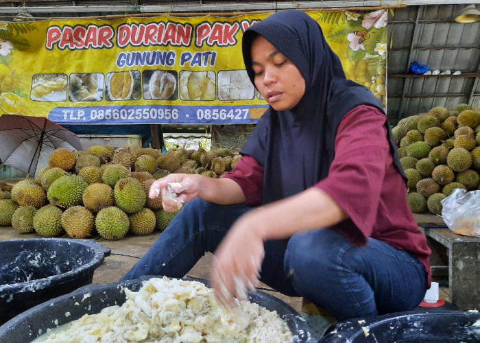 Festival Durian Cempoko Gunungpati Digelar Tiga Hari, Ada Lomba Makan hingga Kontes Durian Unggul 