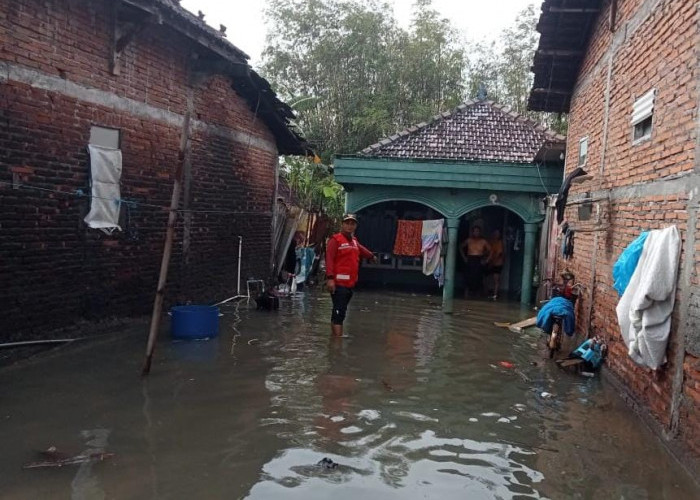 Ribuan Rumah di Demak Terdampak Banjir, BPBD Kerahkan Pompa dan Tim Siaga