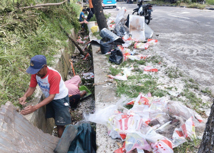 Buntut Truk Tronton Terguling di JLS Salatiga, Beras Tumpah ke Jalan Dipinguti Warga untuk Pakan Ayam