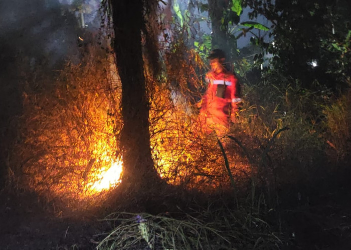 Dua Lahan Terbakar, Api Nyaris Sambar Rumah Warga di Tegal