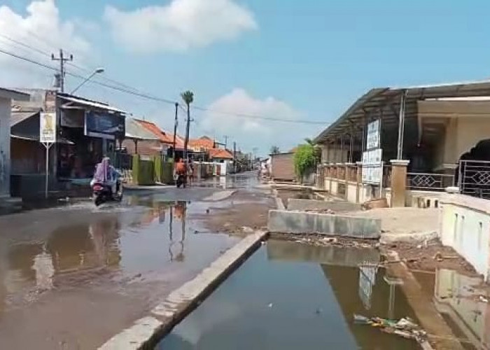Banjir Rob Rendam Tiga Desa di Brebes, Sudah Tiga Hari Ini 