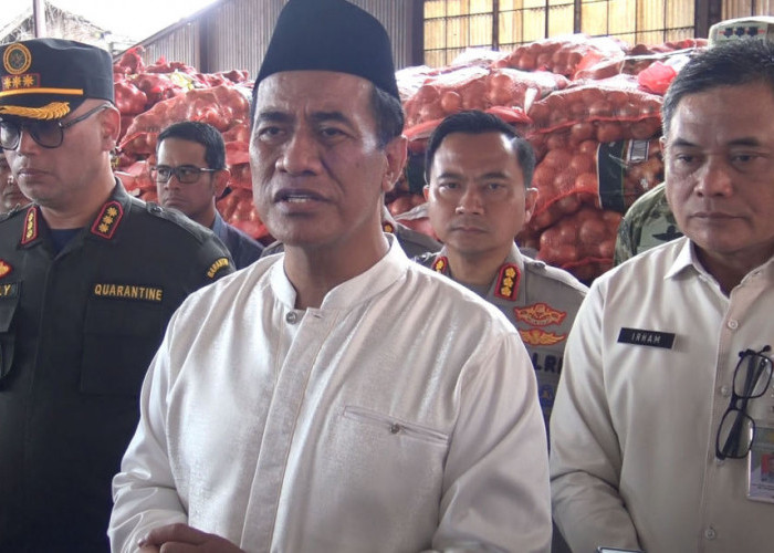 Mentan Amran Sita 133,5 Ton Bawang Bombay Ilegal di Semarang, Langsung Dimusnahkan