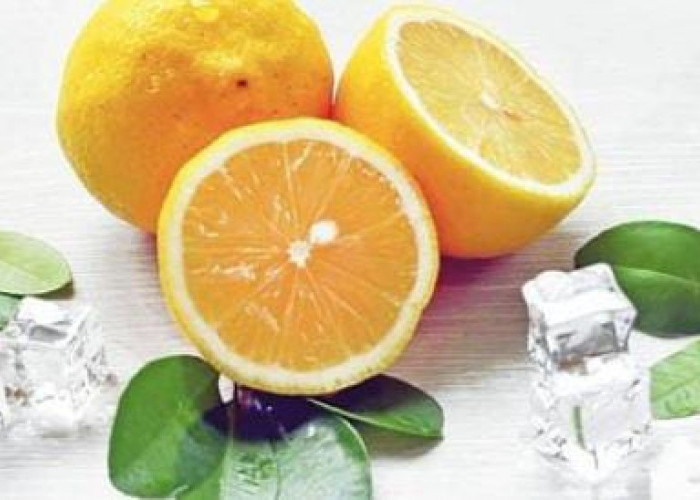 11 Khasiat Buah Lemon untuk Kesehatan Tubuh dan Kulit Kita