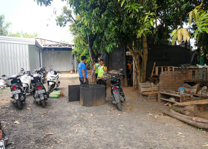 Arena Sabung Ayam di Kudus Beromzet Puluhan Juta Digrebek Polisi, Belasan Penjudi Kabur Tinggalkan Motor
