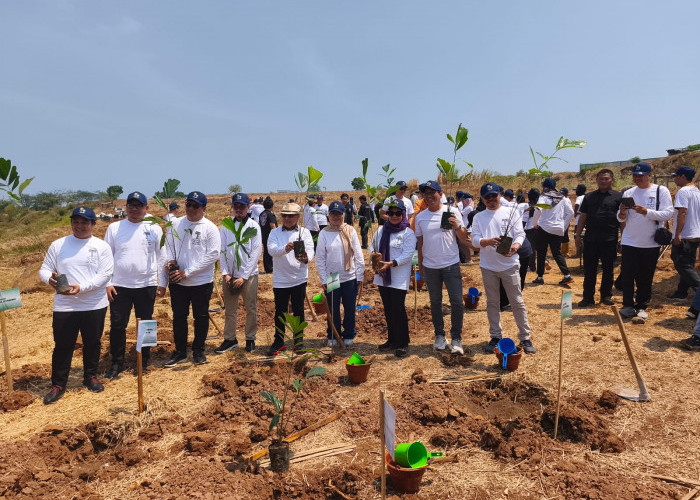 Ribuan Pohon Aren Disiapkan di KEK Industropolis Batang, Ditarget jadi Bioetanol